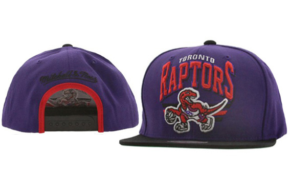 NBA Toronto Raptors M&N Snapback Hat id08